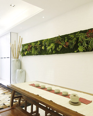 中美混搭风茶室墙面绿植装饰