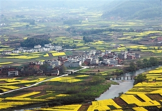 农村土地流转程序