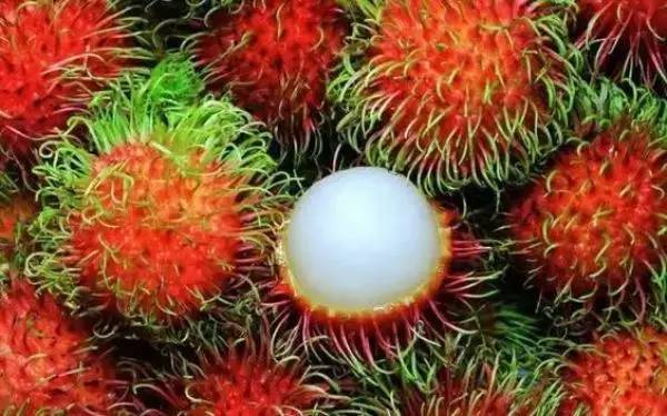 世界上最奇特的水果图片