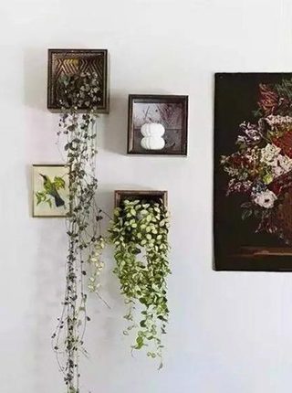 植物背景墙布置摆放图