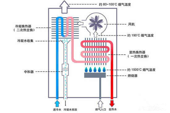 736451_3__副本.jpg