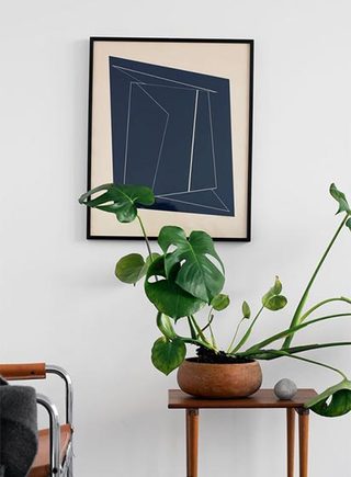 室内植物设计实景图片