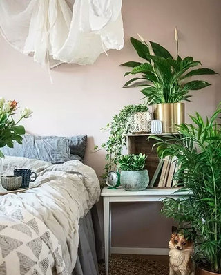卧室床头柜植物装饰设计图