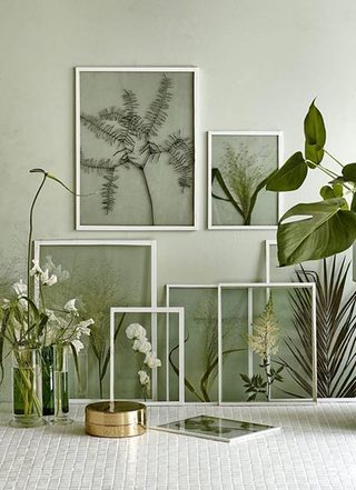 植物背景墙设计欣赏图