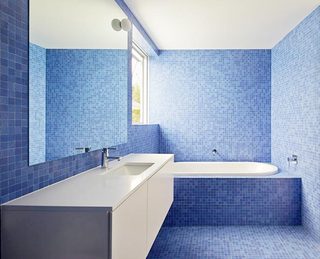 蓝白色卫生间浴室图片大全