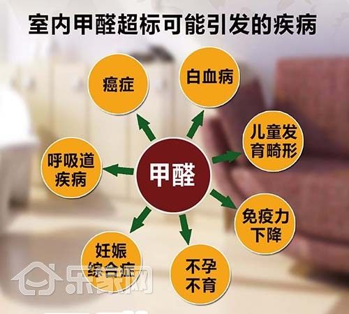 新房快速除甲醛 没有比这3种方法见效再快的了