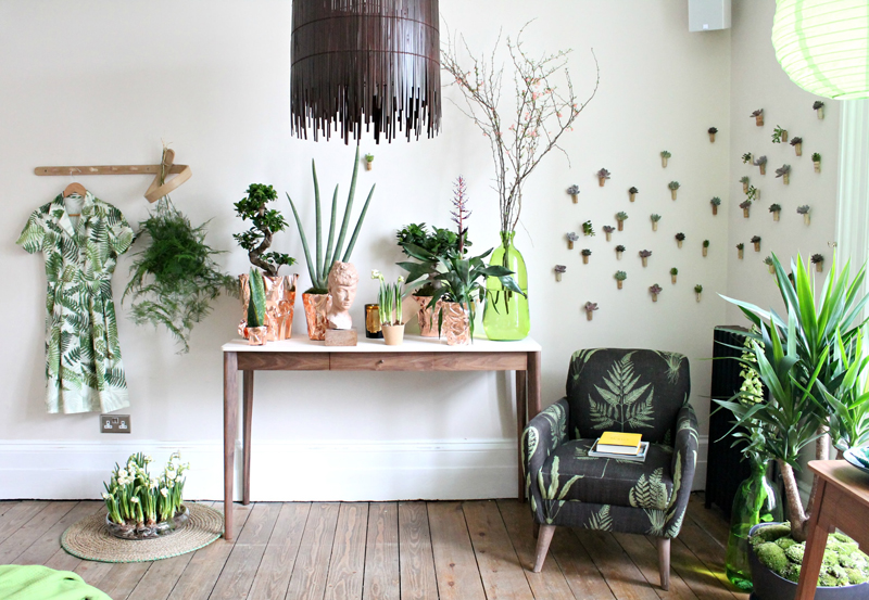 indoor-plants-designrulz-21
