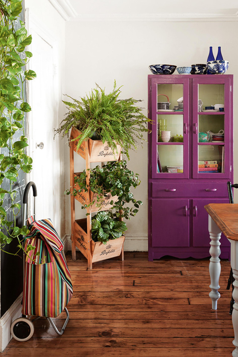 indoor-plants-designrulz-4
