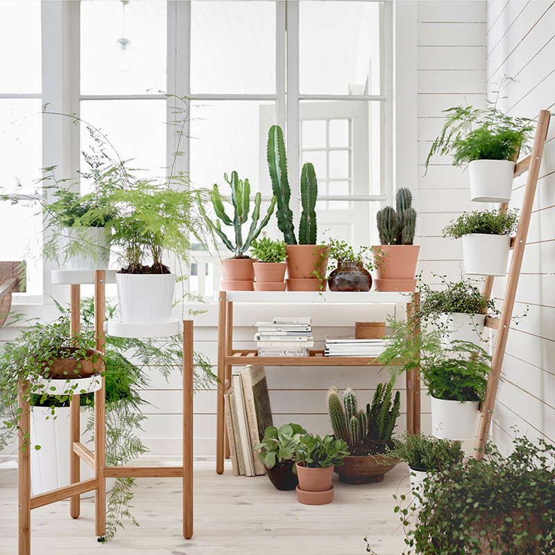 indoor-plants-designrulz-17