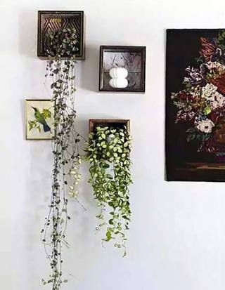 植物背景墙装修布置图