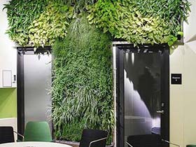 还原自然本色  10款植物背景墙设计图