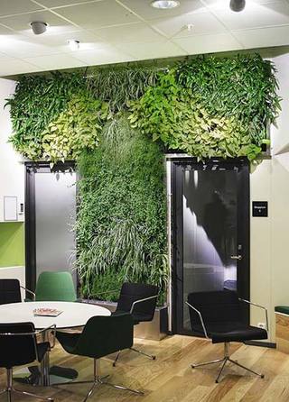 植物背景墙设计图片