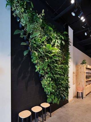 植物背景墙装修装饰效果图