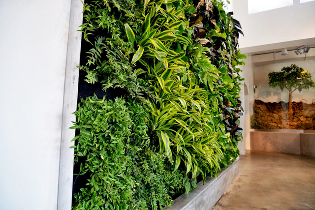 plants-on-walls_designrulz-10