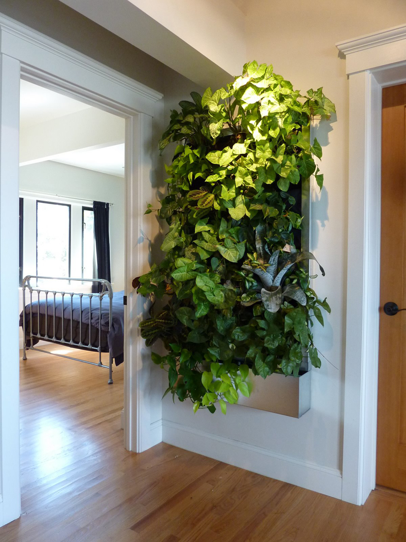 plants-on-walls_designrulz-29