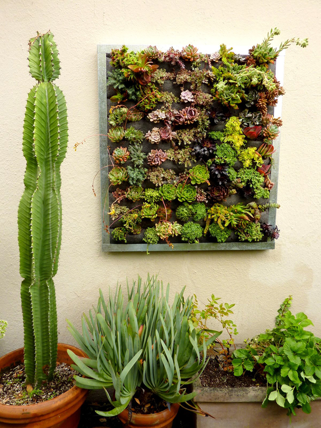 plants-on-walls_designrulz-26