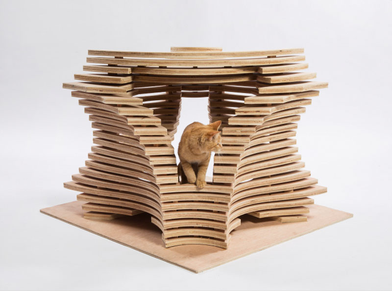 cat-shelter_240316_02