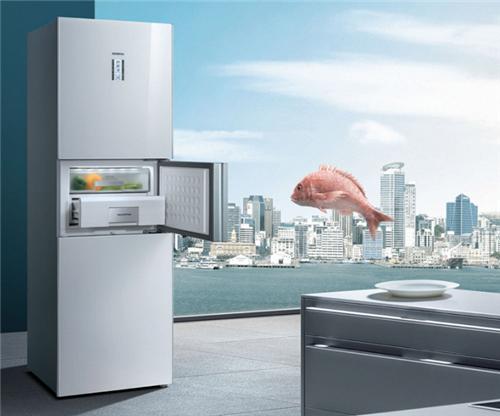 调节冰箱冷冻室合适温度 如何降低冰箱
