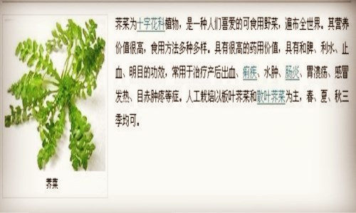 水荠菜怎么吃图片