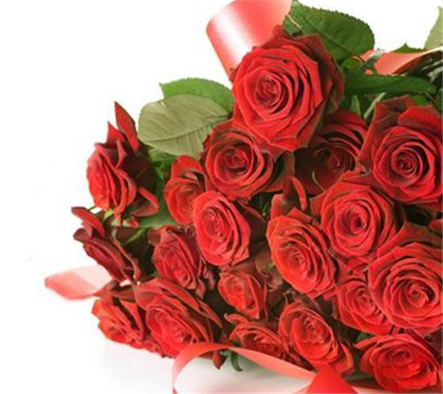 21朵玫瑰花语是什么 不同年龄的人送21朵玫瑰