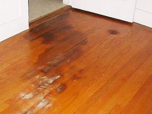 实木地板受潮发霉原来自己在家就能修，后悔把我家的地板全撬了！