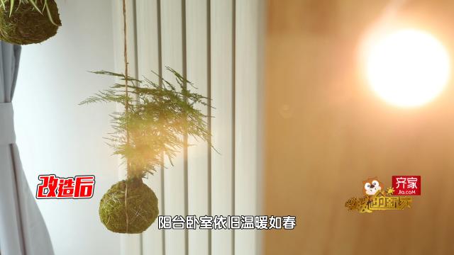 花300万买了一套38㎡的陋室，朋友都说：人傻钱多没法治！