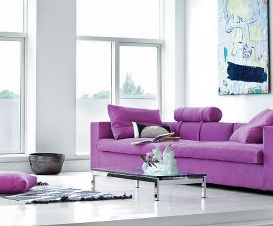 比方说纯白的空间中放这么一个紫色的沙发,要多亮眼有多亮眼