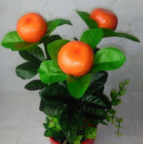 掌握这几个方法，盆栽橘子种植很简单