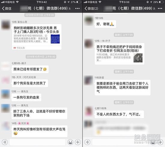 家有爱犬该怎么布置？这些物品让它秒变狗生赢家