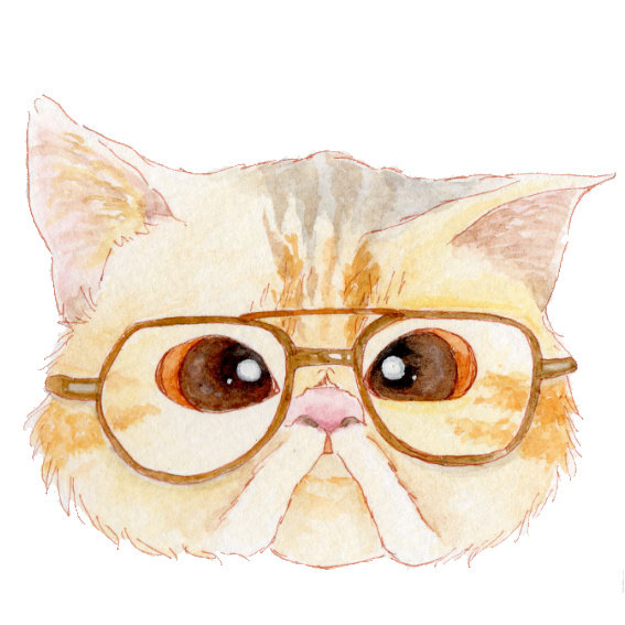 日本noryco手绘戴眼镜的猫