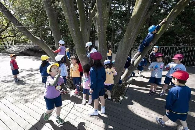 上房揭瓦幼儿园图片