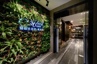绿植形象墙设计效果图
