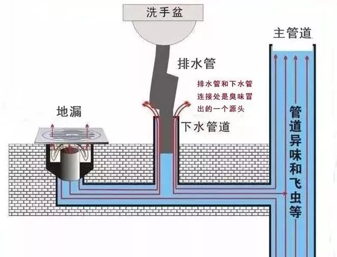 想要家里彻底去除异味排水系统设计不能忽视