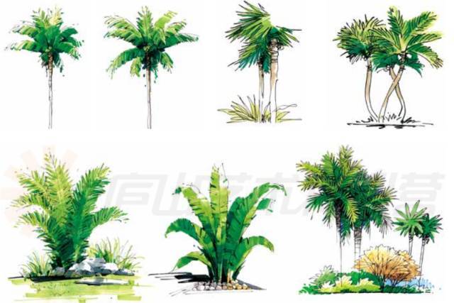 庭院景觀手繪基本技法,從此開啟一項全新的設計表達