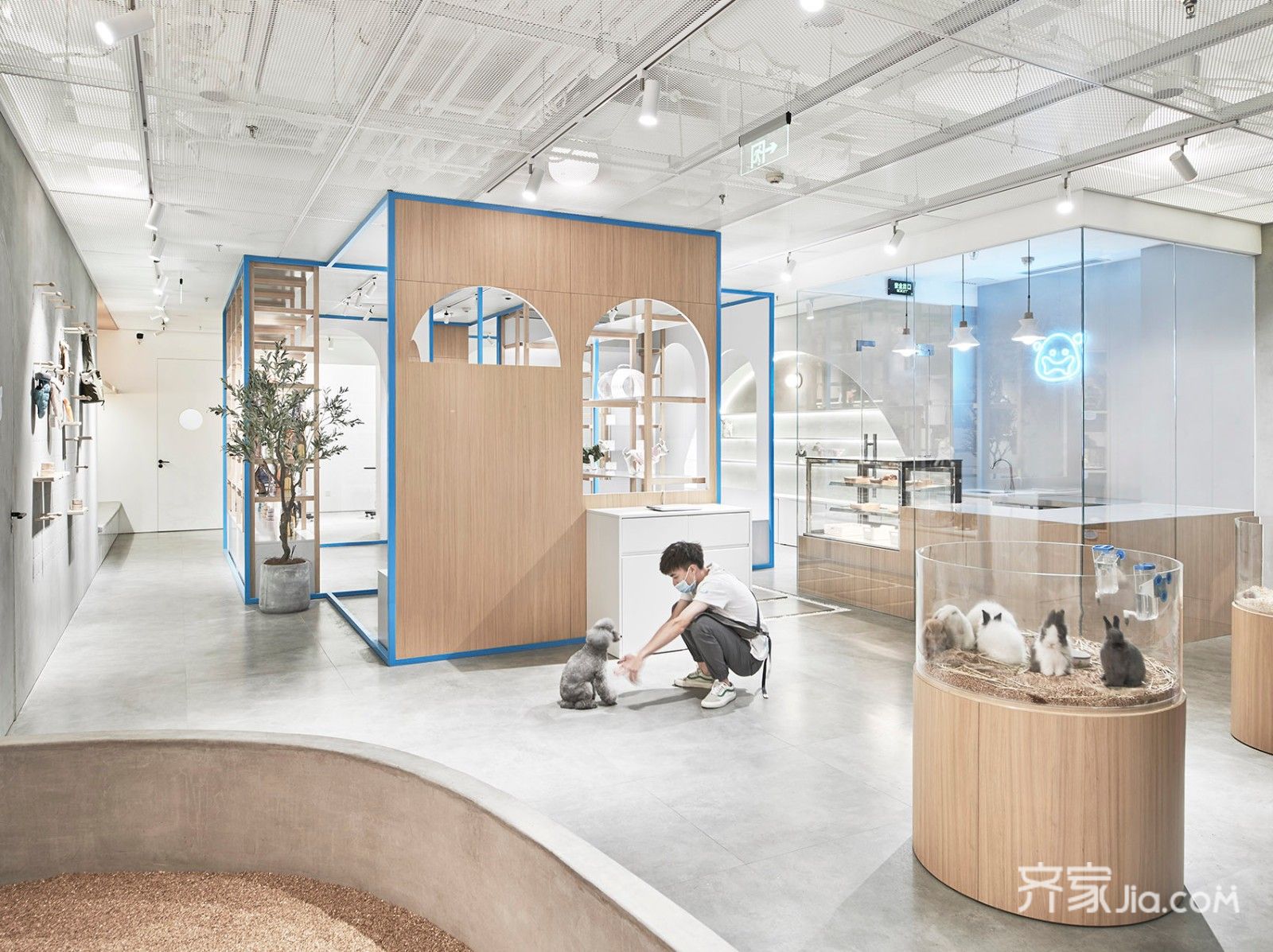 李小姐 宠物店案例常见问题,疑问解答-齐家装修网