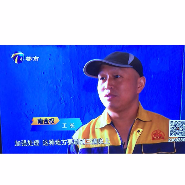 南金权