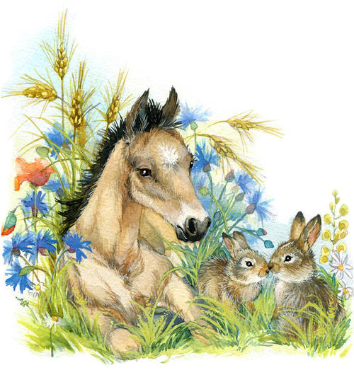 兔与马结合的图片图片