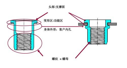 拉铆螺母使用方法图解图片