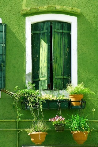 田园风公寓外墙 清新淡镉绿窗户欣赏