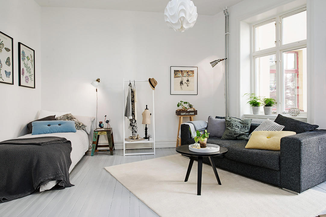 时尚黑白北欧风格 单身公寓设计