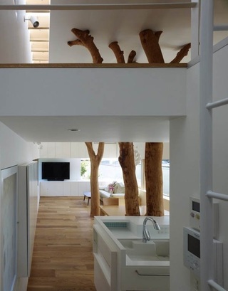 极简主义树木支架装饰家居室内实木地板装潢效果图