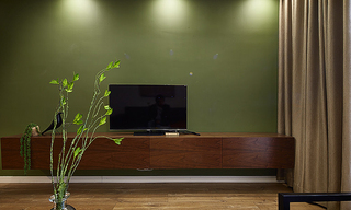 时尚军绿色简约现代风电视背景墙设计