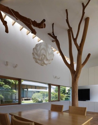 家居室内极简主义树木支架装饰效果图