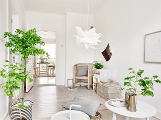 绿色植物装饰纯美北欧小户型单身公寓效果图