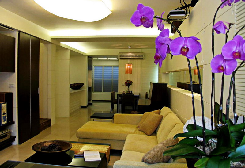 客厅,餐厅,背景墙,吊顶,其它,现代,田园,白色,米色