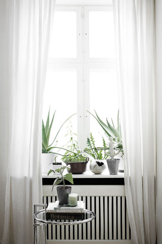 清新自然北欧风格窗户窗台摆设设计