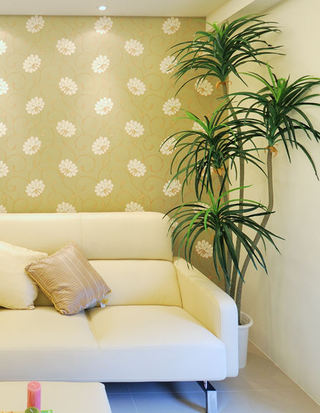 淡绿清新素雅简约风客厅沙发墙纸效果图
