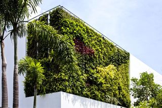 简约自然设计装修风格别墅绿化墙欣赏图